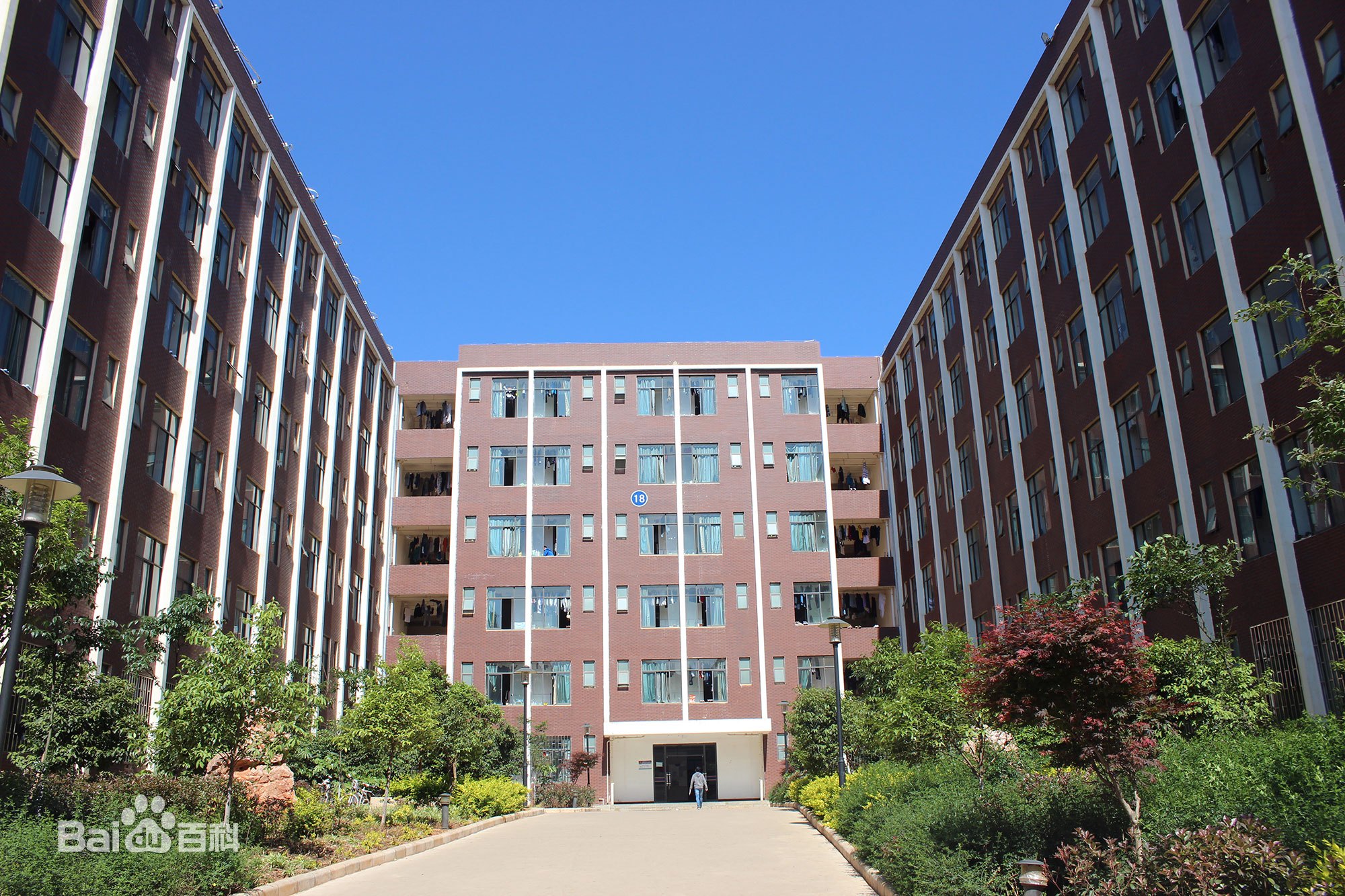 ����ҽ�ƴ�ѧ��ԴѧԺ�Ǽ���ѧ�Ѷ��٣�2019��¼ȡ�����߶��٣�