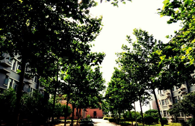 连云港师范高等专科学校怎么样在江苏排名第几?王牌专业是什么?