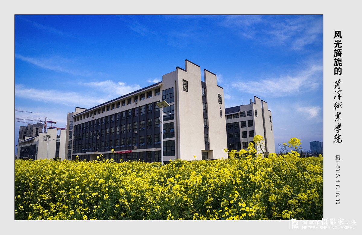 菏泽职业学院是公办吗多少分能上
