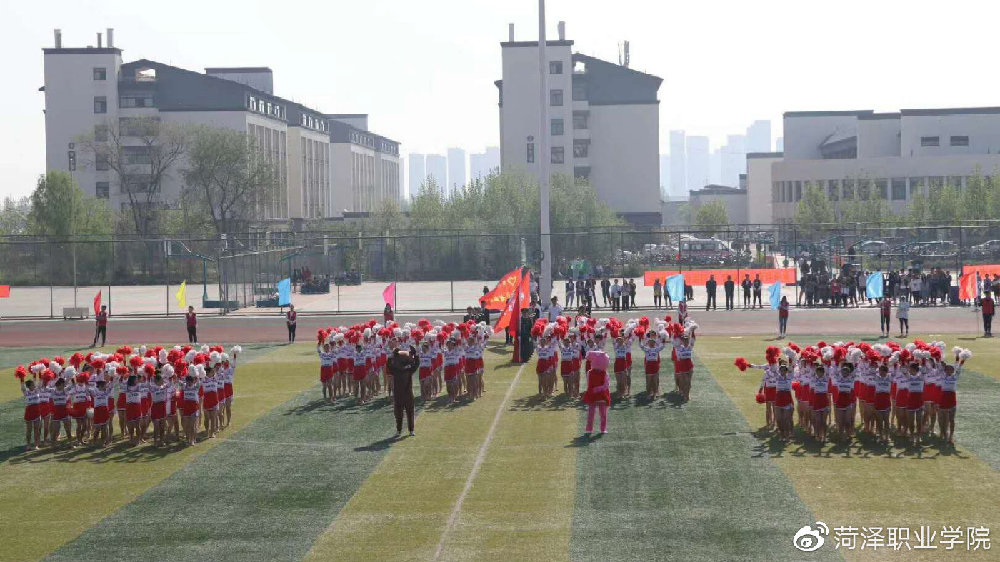 菏泽职业学院是公办吗多少分能上