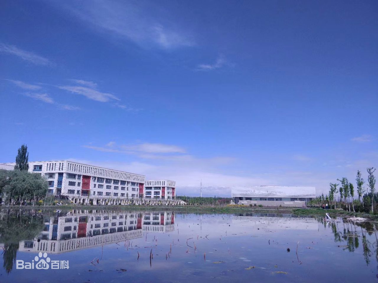 新疆理工学院王牌专业有哪些?具体地址在哪排名第几学费多少?