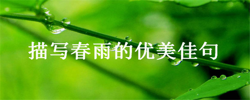 描写春雨的优美佳句大盘点,下雨天有意境的短句子你听过没?