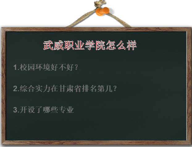 武威职业学院怎么样环境好吗?在甘肃省排名第几?有什么专业?