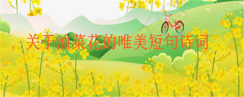 关于油菜花的唯美短句诗词集锦,一句简短的看油菜花的说说心情