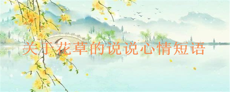 20句朋友圈晒花草的说说心情短语推荐,春暖花开的唯美句子