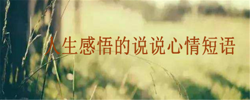 关于人生感悟的说说心情短语精选,句句现实又扎心