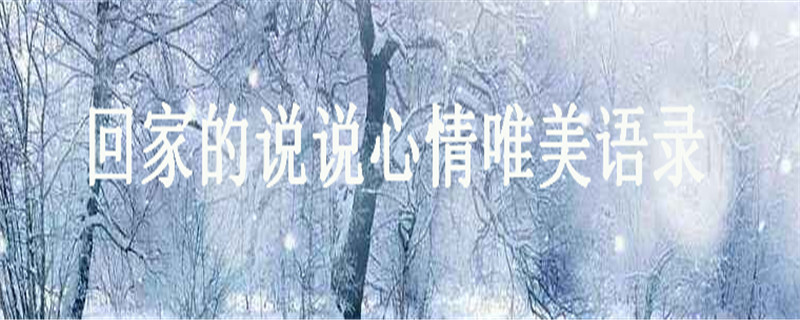 关于回家的说说心情唯美语录集锦,一句话表达想回家你会说什么?
