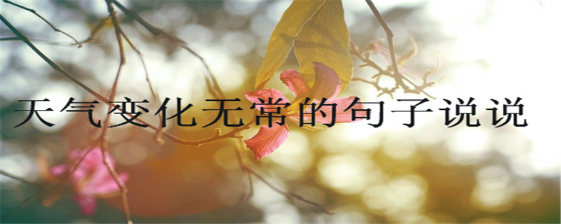 仯޳ľӣȵĸЦĬ˵˵