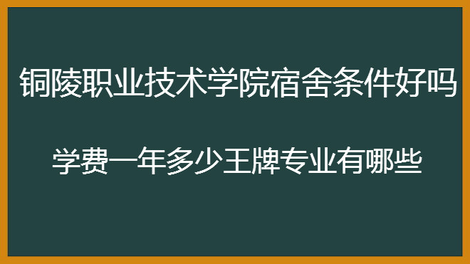 铜陵职业技术学院宿舍条件好吗?学费一年多少王牌专业有哪些?