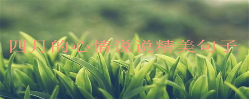 关于四月的心情说说,四月发朋友圈的精美句子你知道吗?