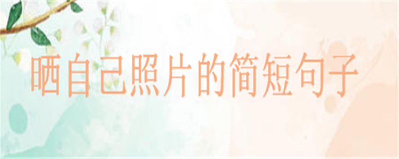 晒自己照片的简短句子精选,关于照片定格的美好一句话