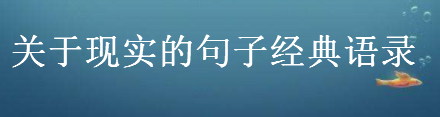 ʵľӾ¼Ȧʵľ