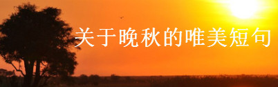 描写晚秋简短走心的唯美句子盘点,适合秋天的朋友圈语录