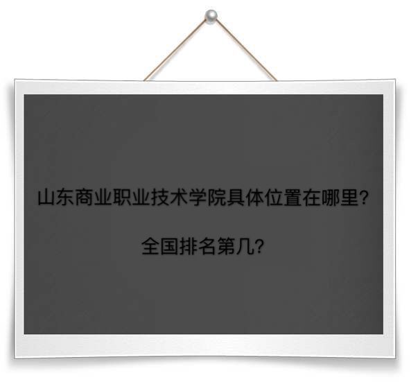 山东商业职业技术学院在哪排名第几?有哪些专业学费多少钱一年?