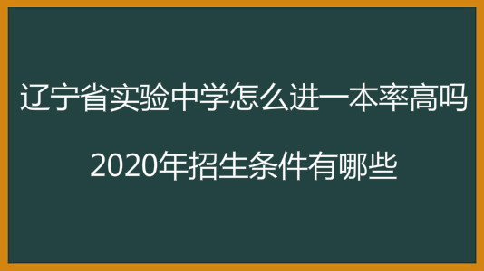 ʡʵѧôһʸ2020Щ