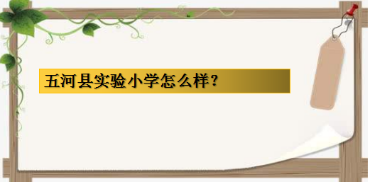 ʵСѧôô?ѧЩ?ЩСѧ