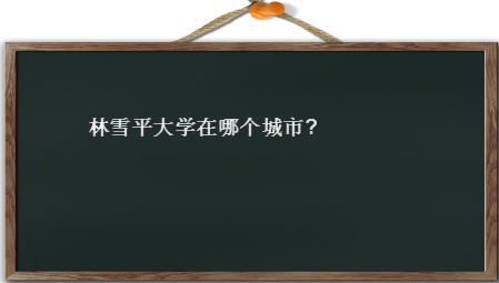 林雪平大学在哪个城市?世界排名第几?申请难度大吗?申请条件介绍