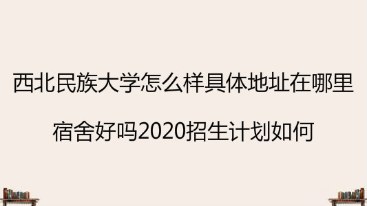 ѧôַ2023ƻΣ
