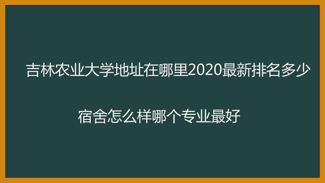 ũҵѧַ2023٣ôĸרҵ