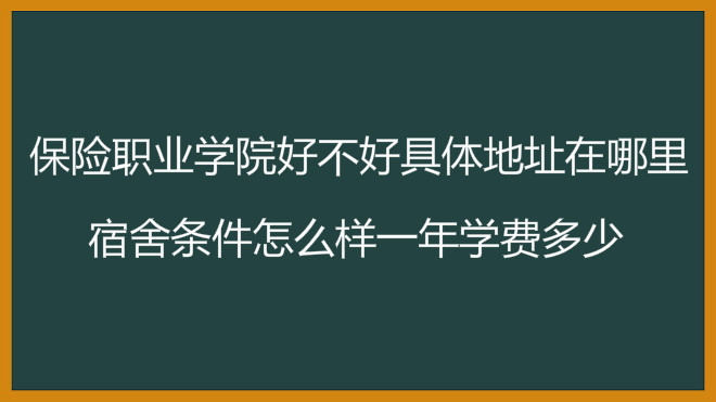 保险职业学院好不好具体地址在哪里?宿舍条件怎么样一年学费多少