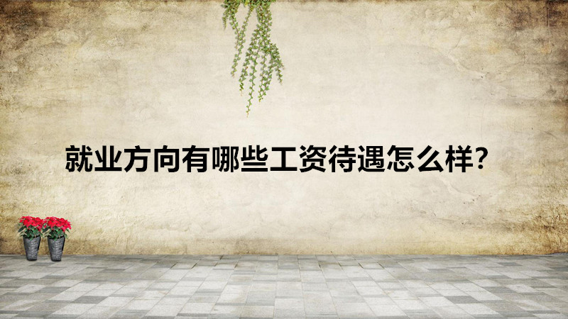 女生学国际经济与贸易好就业吗?就业方向有哪些工资待遇怎么样?