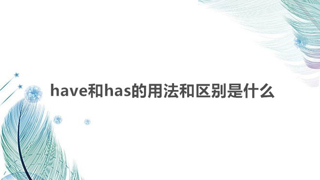 have和has的用法和区别是什么?have和has是什么动词如何使用?
