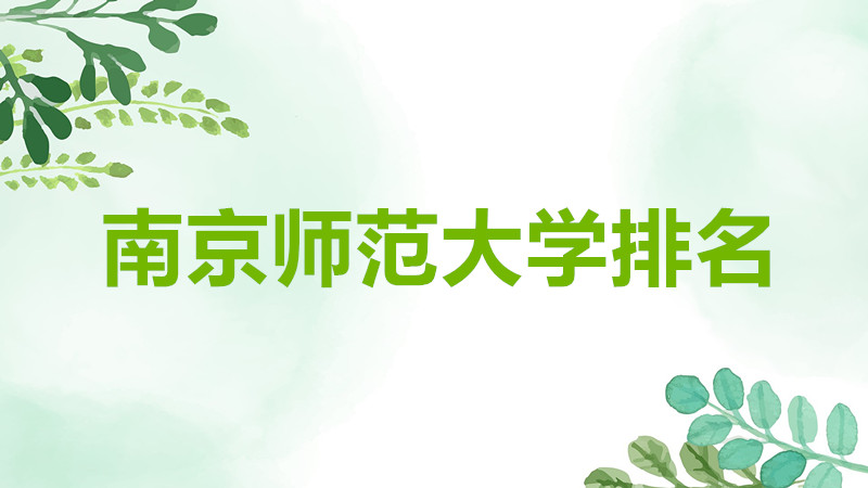 ʦ985211ѧУʲô̶ȣϾʦѧȫ