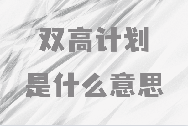 ˫߼ƻʲô˼ѡ˫ѧУʲôô