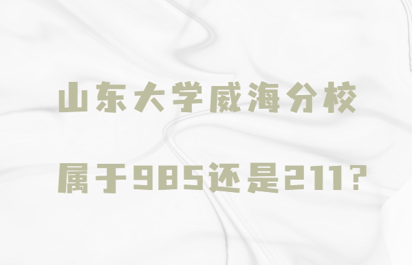 ɽѧУ985211