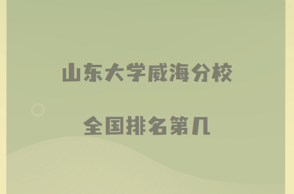 ɽѧУȫڼ2023аµ11