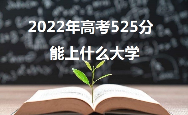 2023߿525ʲôѧ 525ܱʲôѧУ ʲôˮƽ