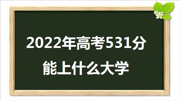 2023߿531ʲôѧ 531ܱʲôѧУ һ