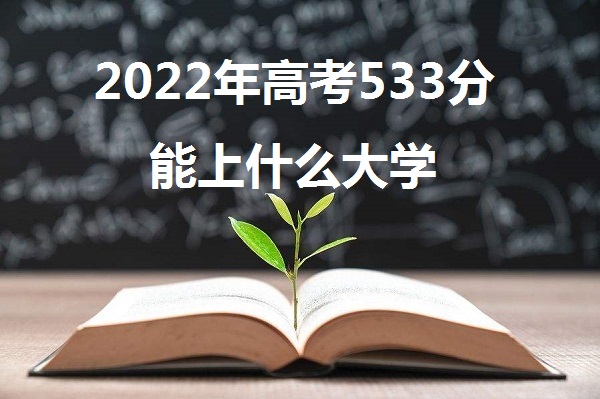 2023߿533ֿô 533ʲôѧ һ