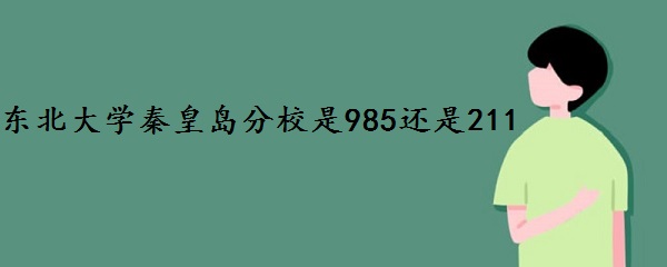ѧػʵУ985211ѧУ