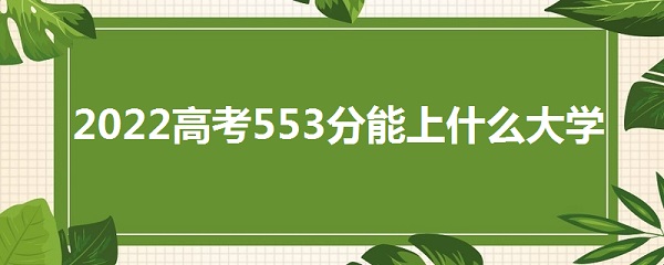 2023߿553ʲôѧ 553ܱʲôѧУ һ