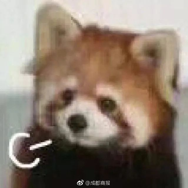 ѺЩ,Ҫ