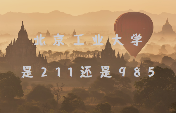 ҵѧ211985