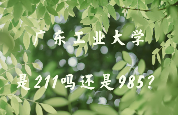 㶫ҵѧ211985