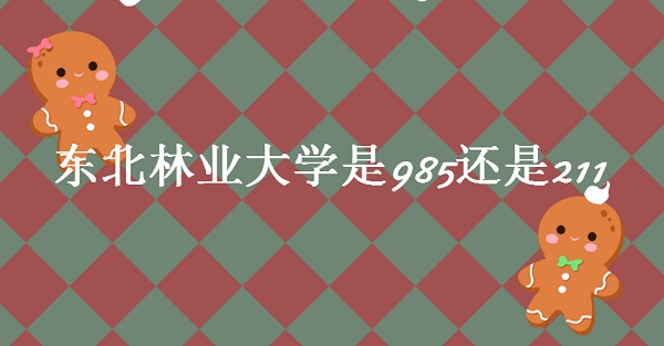 ҵѧ985211211ԺУ