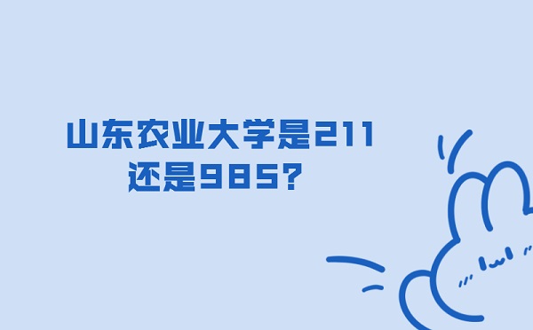ɽũҵѧ211985ɽʡ985211ԺУ