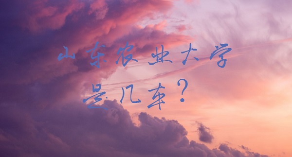 ޱ.jpg