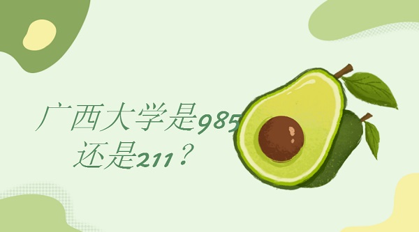 ѧ985211ʡǰʮԺУ