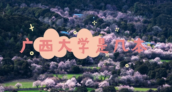 ѧǼ?һǶ?