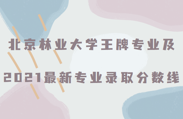 ҵѧרҵ2021רҵ¼ȡߣһ