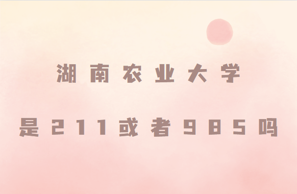 ũҵѧ211985