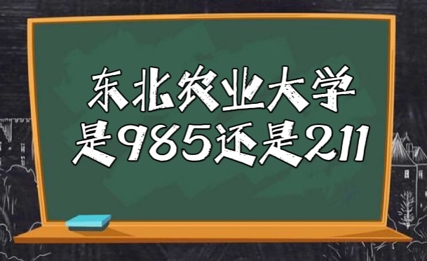 ũҵѧ985211ѧȫ985/211ѧ