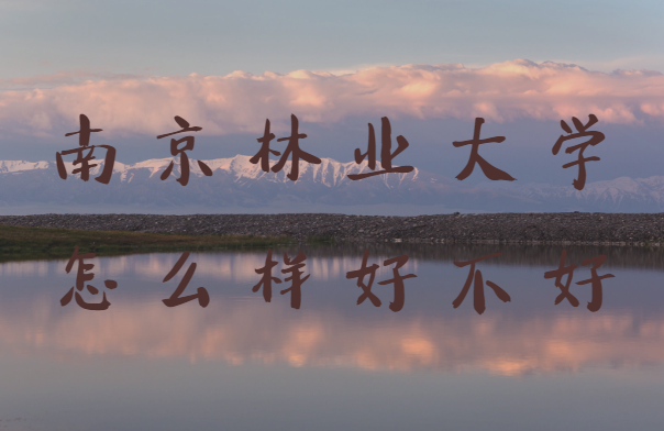 �Ͼ���ҵ��ѧ��ô���ò��ã���ȫ��������ѧ��������ԺУ�ڱ���