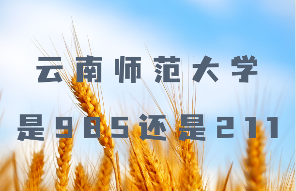 ʦѧ985211ʡ985/211רҵһ