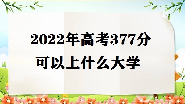 2023߿377ֿʲôѧ ߿377ܱЩԺУ