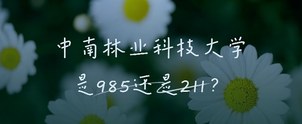 ҵƼѧ985211ȫ985/211ԺУ